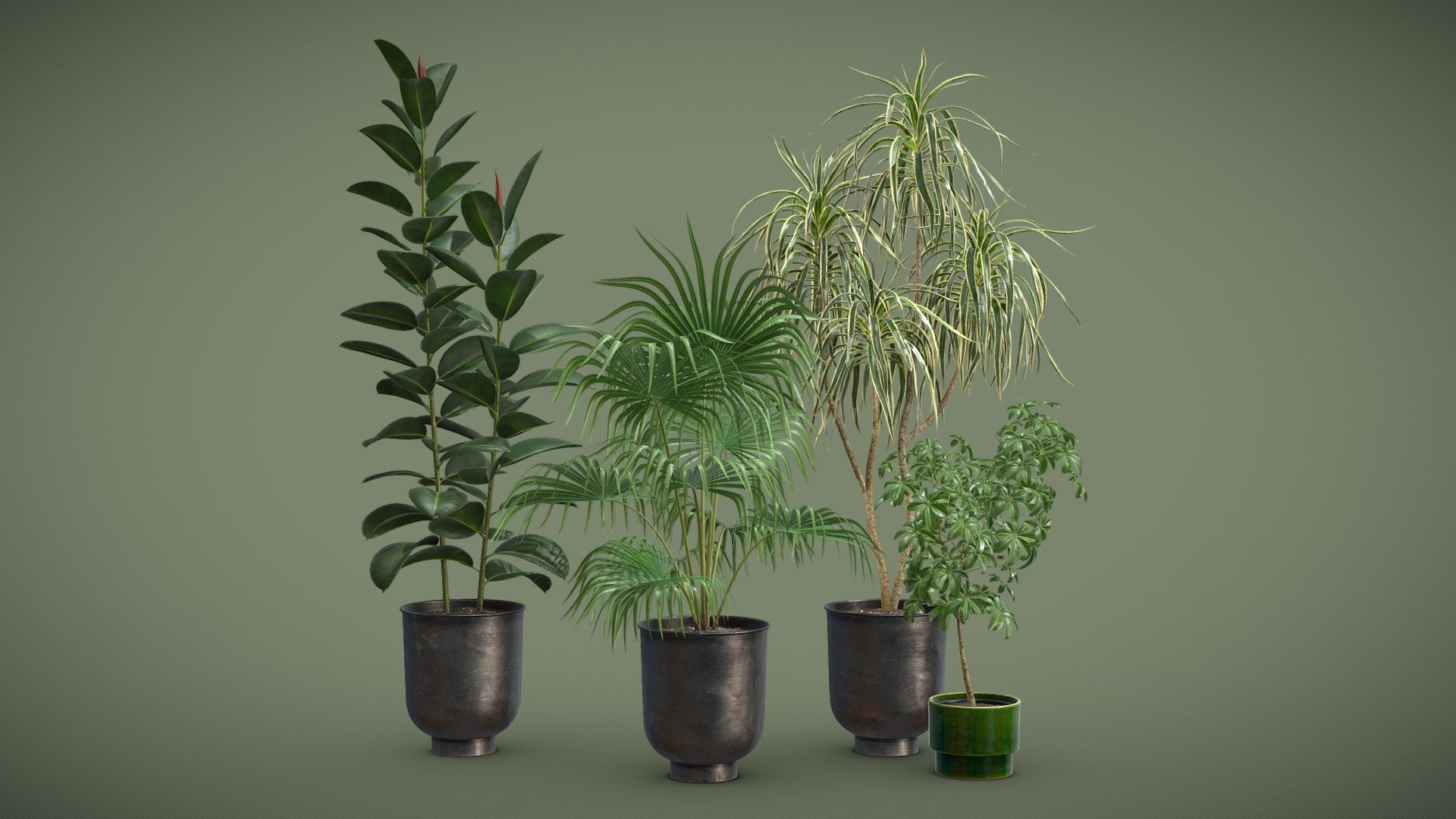 Indoor Plants Pack 52

This selection of indoor exotic plants will provide a level of detail that will take your visualizations to the next level.

Models can be subdivided for more definition.




Schefflera

Ficus Elastica - Rubber tree

Livistona Chinensis - Chinese Fan Palm

Dracaena Variegata

4k Textures




Vertices  122 591

Polygons  93 181

Triangles 183 882
