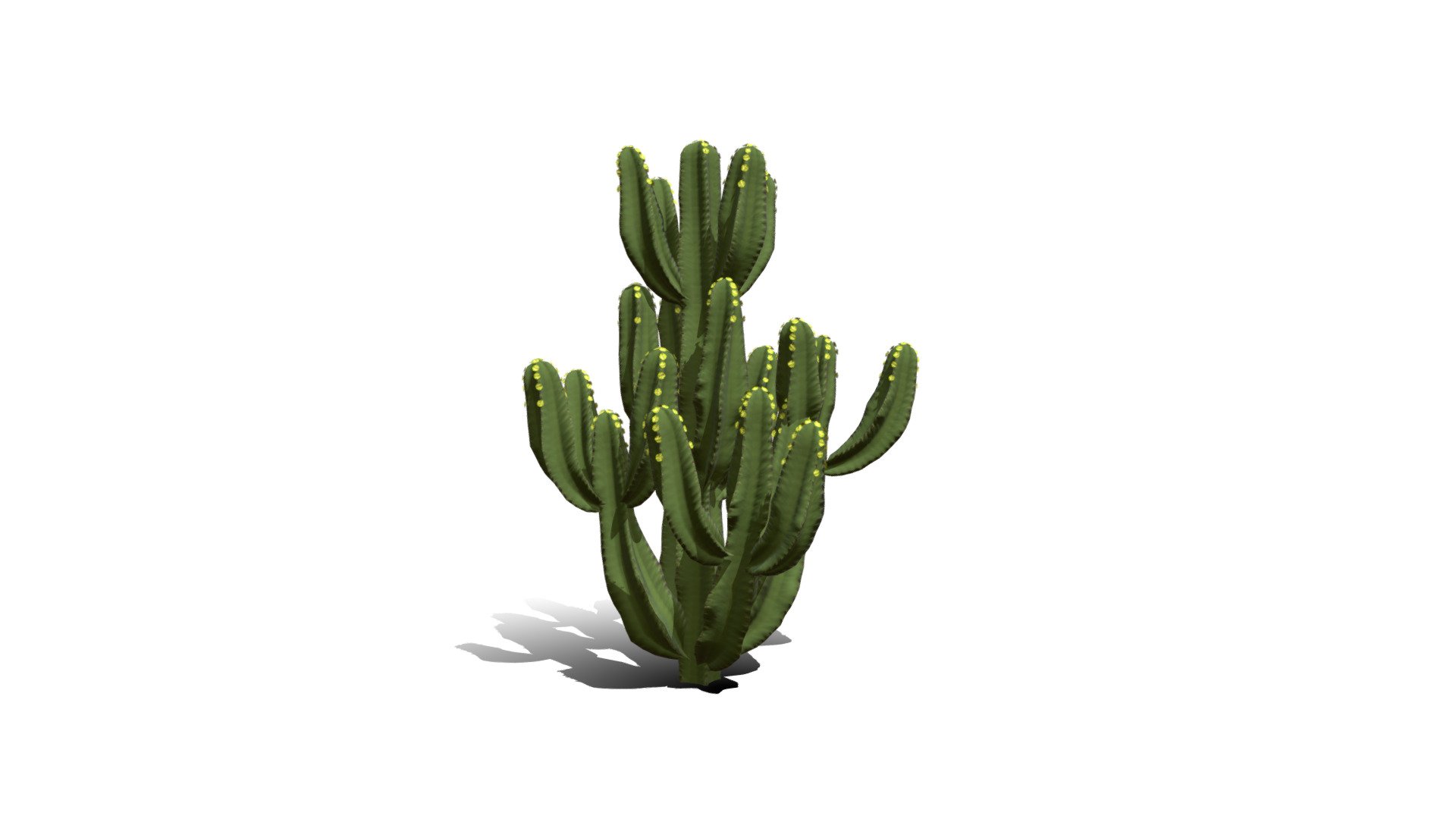 Model specs:





Species Latin name: Euphorbia candelabrum




Species Common name: Candelabra tree




Preset name: Standard mat 0




Maturity stage: Infant




Health stage: Thriving




Season stage: Spring




Height: 0.9 meters




LODs included: Yes




Mesh type: static




Vertex colors: (R) Material blending, (A) Ambient occlusion



Better used for Hi Poly workflows!

Species description:





Region: Africa




Biomes: Desert,Savana




Climatic Zones: Mediterranean,Subtropical,Tropical




Plant type: Succulent



This PlantCatalog mesh was exported at 40% of its maximum mesh resolution. With the full PlantCatalog, customize hundreds of procedural models + apply wind animations + convert to native shaders and a lot more: https://info.e-onsoftware.com/plantcatalog/