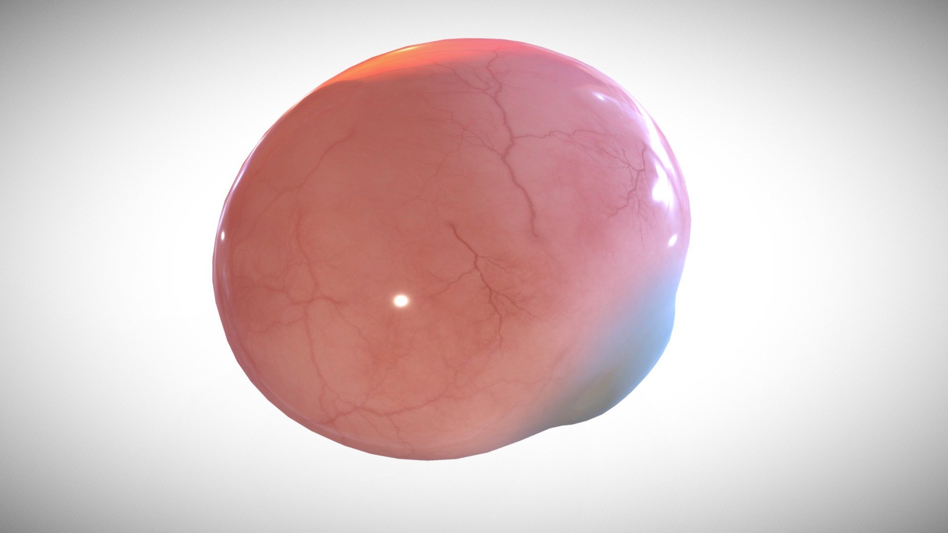 The eyes have moved forward on the face and eyelids have formed. The umbilical cord is clearly visible. At the end of 8 weeks, your baby is a fetus and looks more like a human.
-Eyelid formation in human embryo at eight weeks gestation.
-At eight weeks, the eyelids start to form and fuse together protecting the other developing eye structures
Reference:-
Department of Health (Immunisation for pregnancy), Raising Children Network (Pregnancy week-by-week), Women's and Children's Health Network (The first 3 months of pregnancy: the first trimester), Australian Dental Association (Pregnancy)