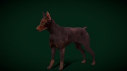 Dobermann Pinscher Dog Breed (Game Ready) cute, dog, pet, animals, german, creatures, mammal, zoo, nature, canine, game-ready, pinscher, animations, game-asset, dobermann, canis-lupus, domestic-dog, nyilonelycompany, dog-breed, noai, doberman-pinscher, red-doberman, germany-breed