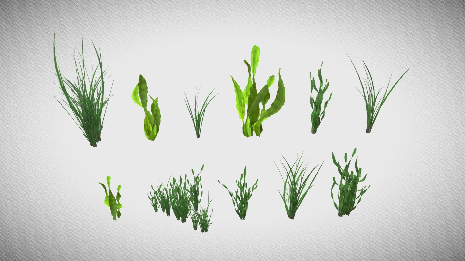 Underwater Grass Pack.PBR Materials. Ready for Games.