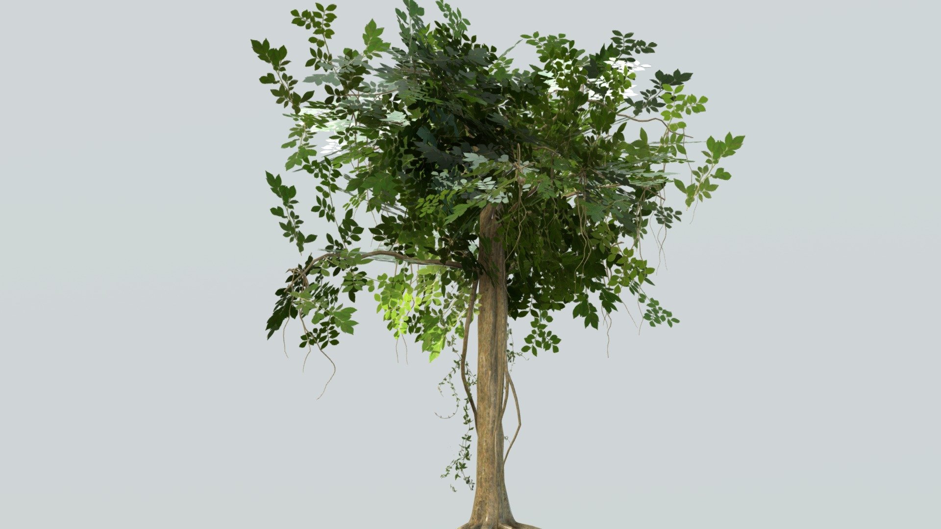 Textured free jungle tree, for all uses just credit me in a place where I can see it