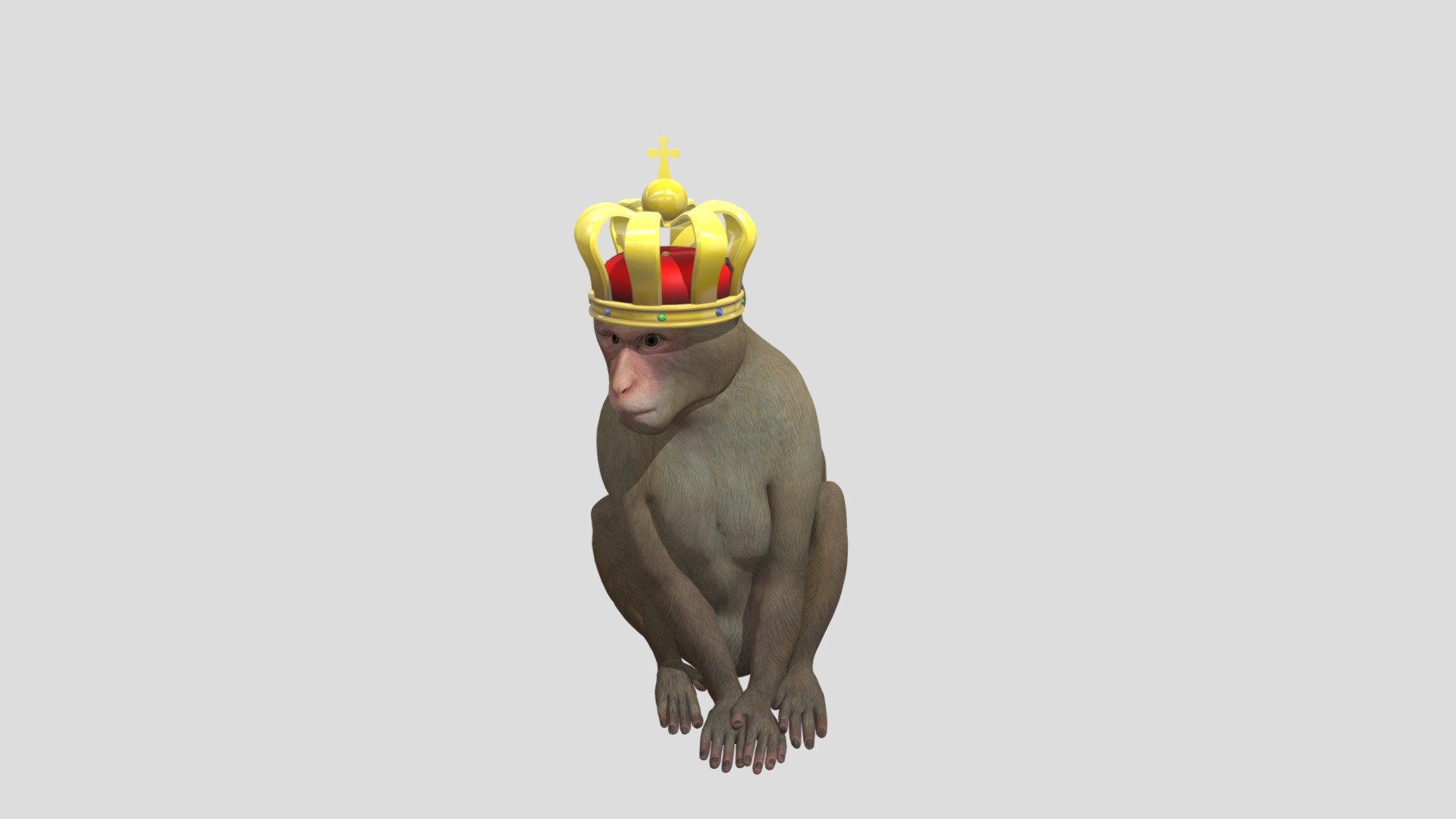 monkey pog!