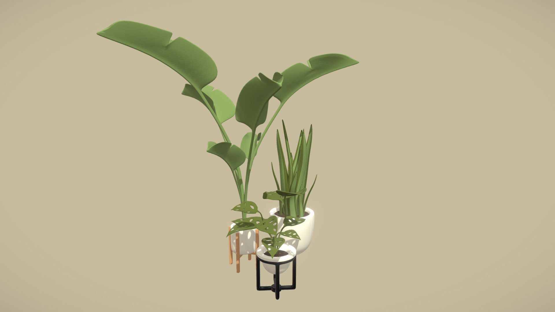 

3 simple houseplants for the weekly challenge