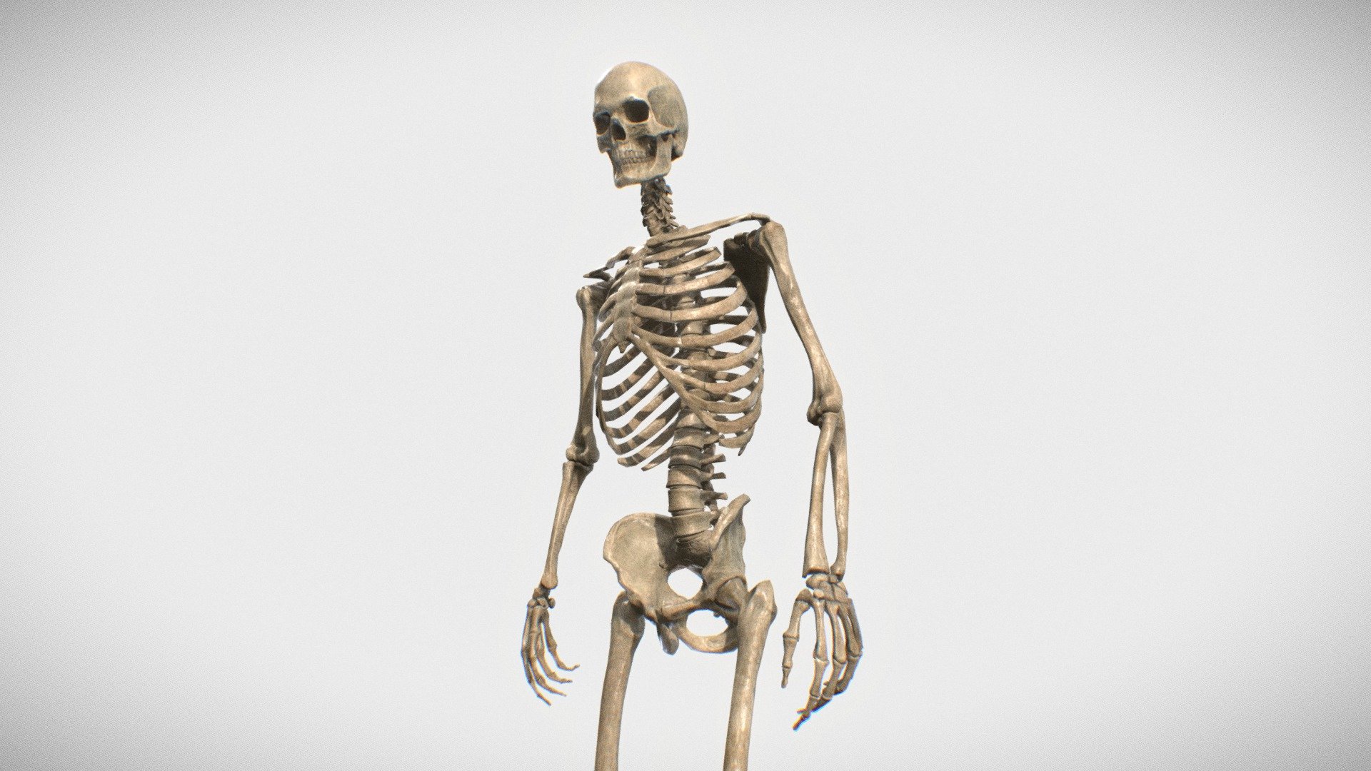 YOU can buy this for Unrial Engine https://www.unrealengine.com/marketplace/en-US/product/dc7efe2893704c5097367c2616b95f16

 and CG Trader!

My Artstation https://www.artstation.com/vp_studio3d

In this set you will find a highly detailed AAA modular destructible human skeleton that comes with a variety of Smart material effects. It can be rendered in its pure, bloody, burnt, and fiery states, which adds more realism to your designs. You also have the option to choose from a huge variety of skull and skeleton shapes from different ethnic groups, which can be easily modified procedurally.