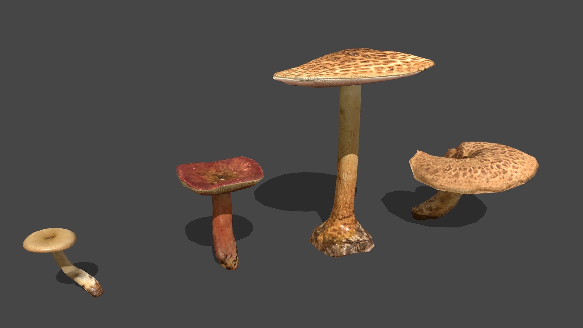 Mushroom  number 17, 18, 19 and 20

2k sized texture (base color, roughness, normal map, translucent)

Quad topology (easily subdivided)



Contains the raw scans in the additional file (obj format)



Also available in this pack



Made with Metashape, Blender, Materialize and Subtance painter



If you have any questions, contact me here:

zacxophone3d@gmail.com



