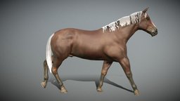 Horse Walk-cycle animated pet, walking, brown, horses, farm, walkcycle, walk_cycle, horse, animal, animation, horsewalk