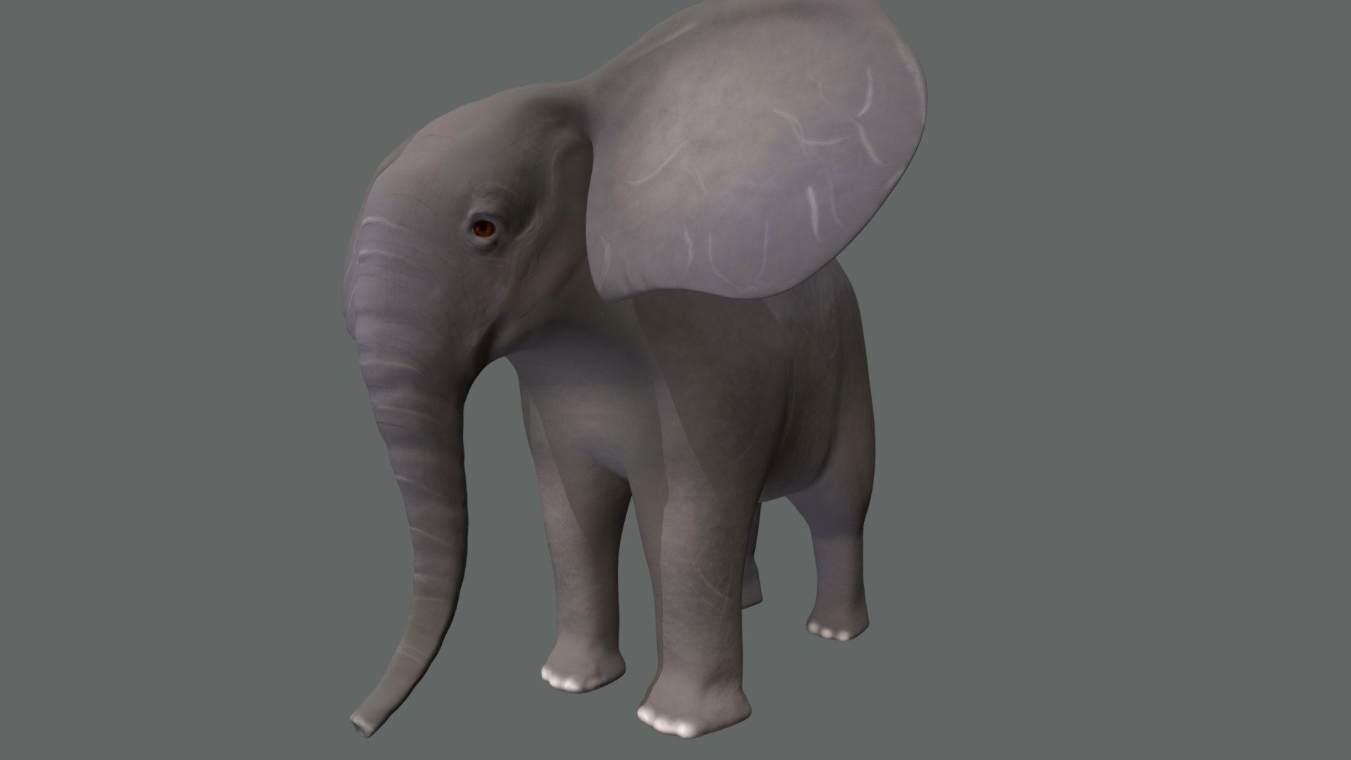 For this model I began in Autodesk Maya and modeled my base mesh and then brought the model into Mudbox and sculpted all the fine details. I also added the color textures to the model using mudbox.
