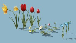 Blooming Flowers Pack plant, flower, flowers, spring, tulip, vegetation, fleur, timelapse, nature, blossom, primula, blooming, blender, animated, jonquille, jonquil, primevere, paquerette, bellisperennis, redtulip, myosotisalpestris, primulavulgaris, noai