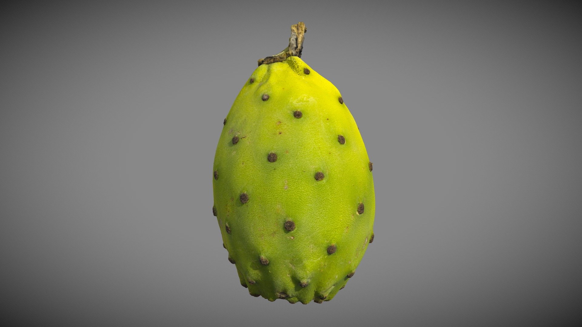 Scan of a Green Cactus Fruit / Prickly Pear / Barbary Fig / Indian Fig Opuntia
(high-poly models included)

More colors:
https://skfb.ly/oNn7P