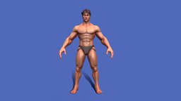 Stylized Male Game Model & Basemesh body, anatomy, muscle, man, female, stylized