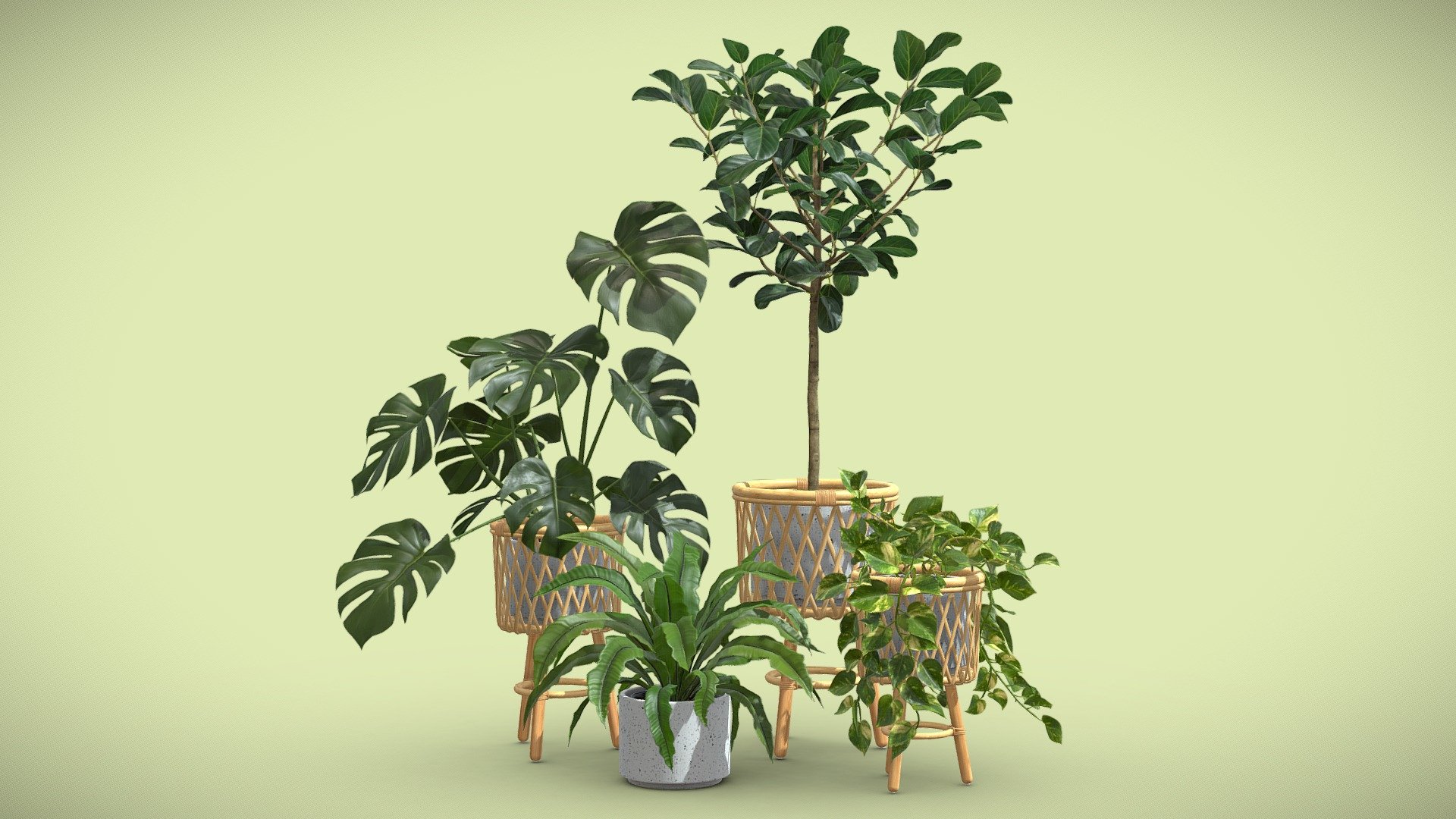 Indoor Plants Pack 57

This selection of indoor exotic plants will provide a level of detail that will take your visualizations to the next level.

Models can be subdivided for more definition.




Monstera Deliciosa

Pothos

Aplenium Nidus

Ficus Audrey

4k Textures




Vertices  176 499

Polygons  170 830

Triangles 329 855
