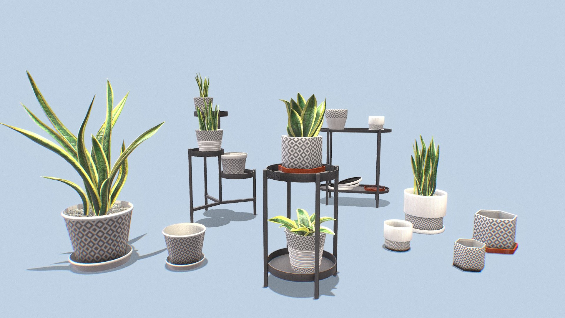 12 different pots in 5 different materials.

3 different stands used with the pots .

5 models of snake plants.

all objects optimized for game engines (Unreal, Unity&hellip;)

Download includes .obj ,.fbx ,blend file for each object.

Textures: 2K PBR, bundled with additional textures for Unity and UnrealEngine.





