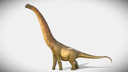 Argentinosaurus rig, giant, jurassic, sauropod, game-asset, brachiosaurus, argentinosaurus, low-poly, blender, blender3d, creature, animal, monster, dinosaur