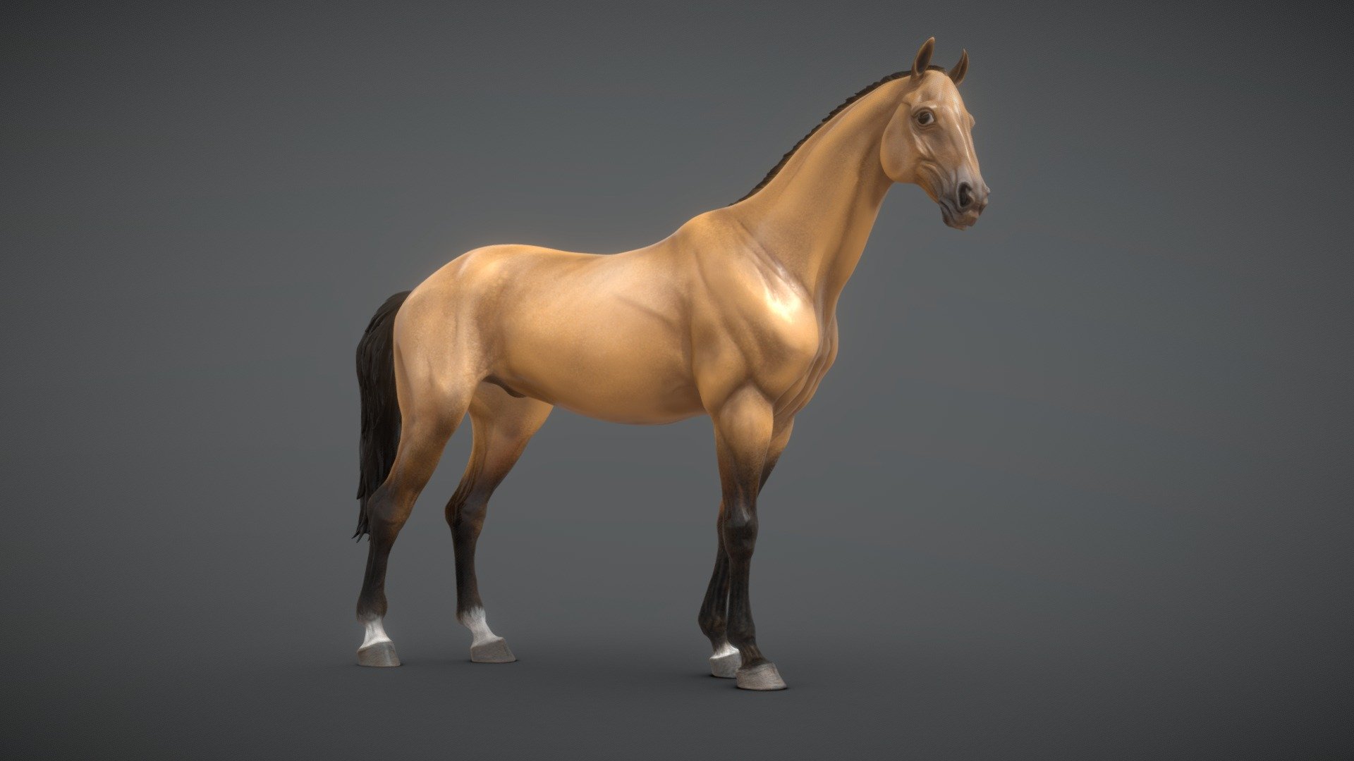 Horse

You can purchase the model using this link:

https://www.fab.com/listings/de9dd253-1afb-4700-bcf0-99a426c586d4

This model is dedicated for video game development, AR/VR, architectural visualisation and cinematics.