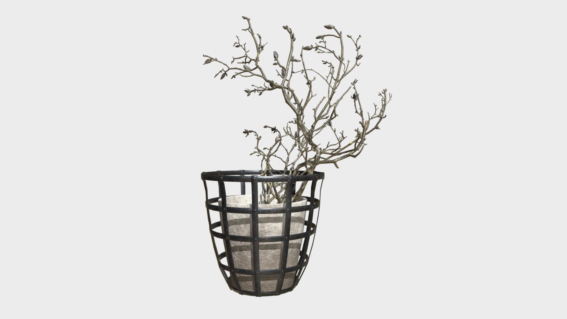 3d model decor branch dry magnolia.
created Blender Version 2.79