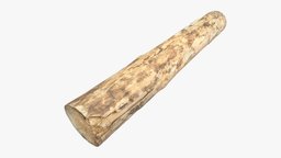 Debarked Pine Log tree, sculpt, exterior, log, pine, block, photorealistic, timber, big, cut, realistic, weathered, chop, architecture, scan, wood, debarked