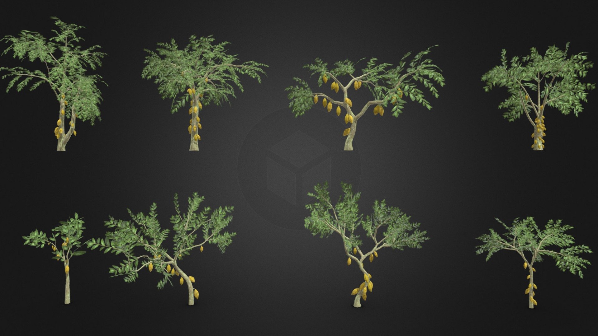 This is a 3D low poly model of a Cacao tree pack. This pack contains 4 models that you can use in your projects.

Info:

Theobroma cacao is a small evergreen tree in the family Malvaceae. Its seeds, cocoa beans, are used to make chocolate liquor, cocoa solids, cocoa butter, and chocolate. Native to the tropics of the Americas, the largest producer of cocoa beans in 2018 was Ivory Coast, at 2.2 million tons.