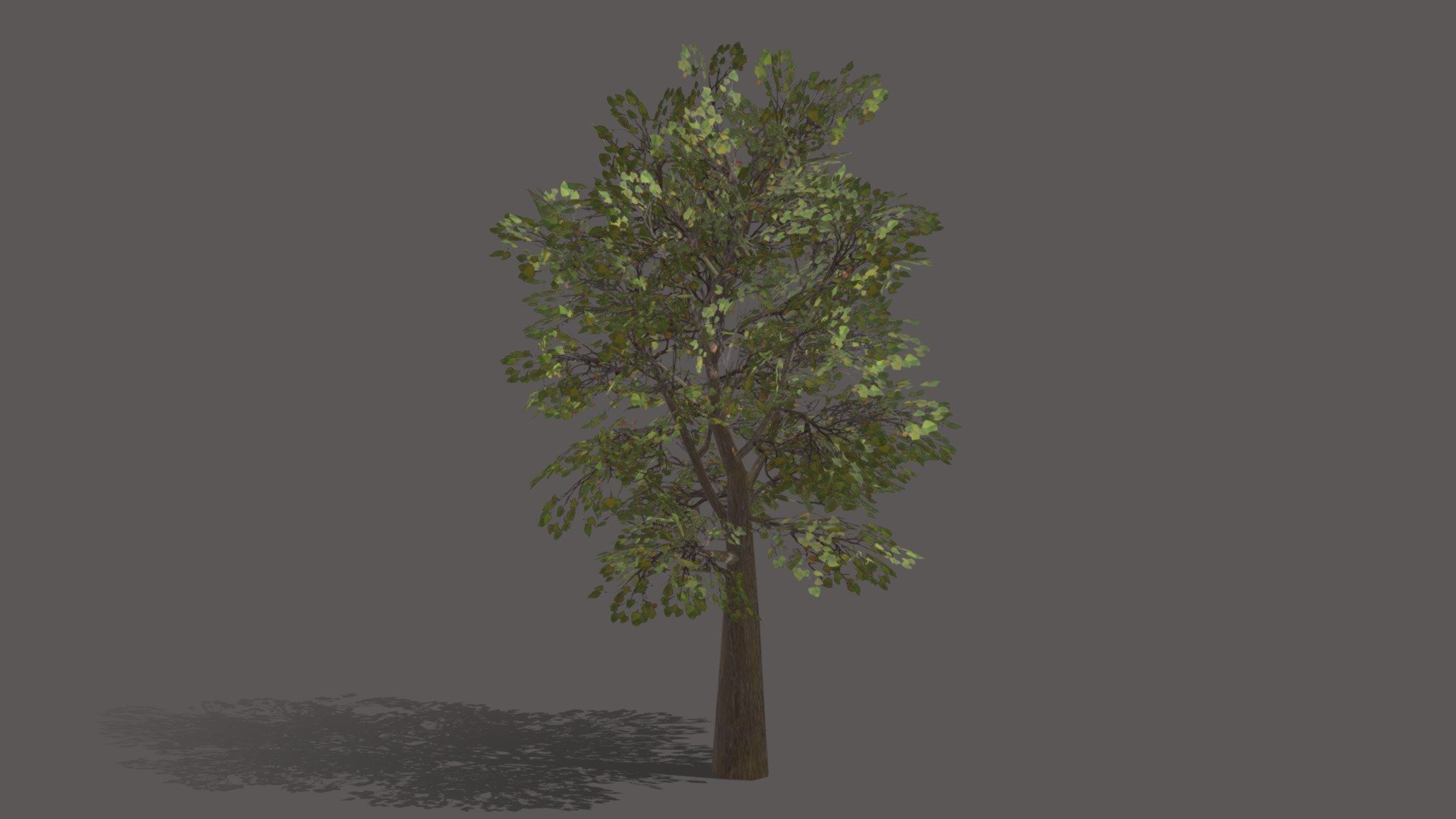 this tree can be used in games for creating environment. a low ploy tree with alpha mapped textures.

if you find any problem or issues related to this model please contact me.