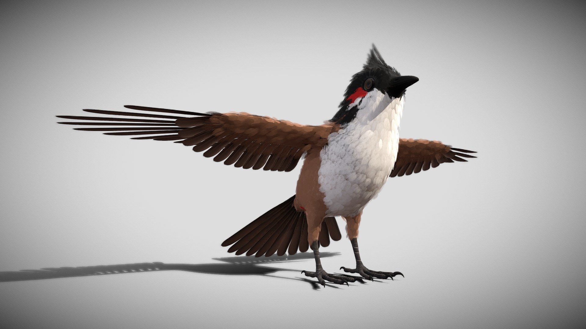 Ultra fine binding bird model, model birds, suitable for film and television animation, film, advertising and so on.

File formats:

Maya 2017 (MB) (Redshift 2.5 version) Fang binxin

Model:

Film and television animation model, quadrilateral wiring, meeting the needs of the animation

Map and material:

A total of 41 high resolution map + 4 environment map. If you need to use other renderers equipment simply to replace the corresponding rendering quality

Binding:

Maya format with all complete binding. Fang binxing format has bone skin, but needs to be associated with the controller, no IK. ABC format only model All the joints after fine binding.

Render:

The Redshift renderer Contained in the Maya scene lighting, render Settings are set up, open the Maya scene can be rendered.

Other works ~ welcome to visit my home page
