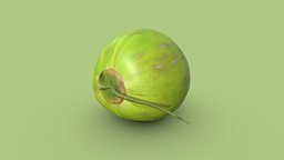 kelapa ijo (green coconut) green, plant, food, nature, coconut, coconuts, nature-plants