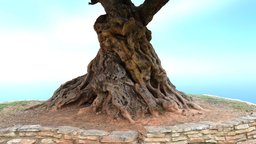 Olive tree tree, plant, spain, arbol, olive, nature, espana, castellon, naturaleza, contextcapture, olivo, photogrammetry, wood