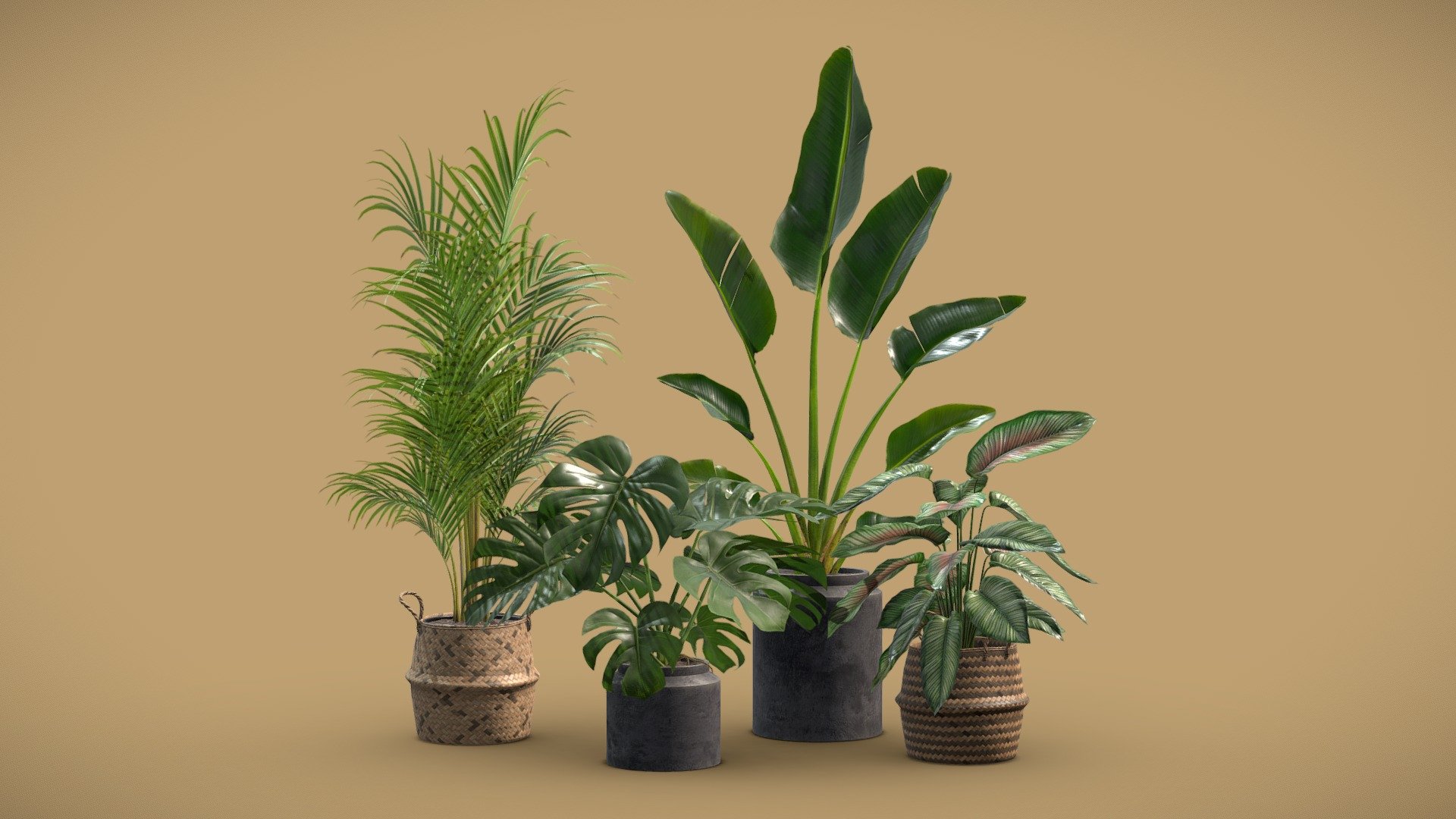 Indoor Plants Pack 29

This selection of indoor exotic plants will provide a nice touch to your interior renders. 




Calathea Ornata

Dypsis Lutescens

Strelitzia Nicolai

Monstera Deliciosa

4k Textures




Vertices  68 144

Polygons  58 110

Triangles 116 106
