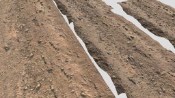 Forest Road Rocks Scan Tileable forest, set, road, ground, dirt, brown, baked, pebble, realistic, old, scanned, tileable, wide, rocky, roots, medievel, photoscan, photogrammetry, 3d, blender, pbr, model, scan, stone, street, noai