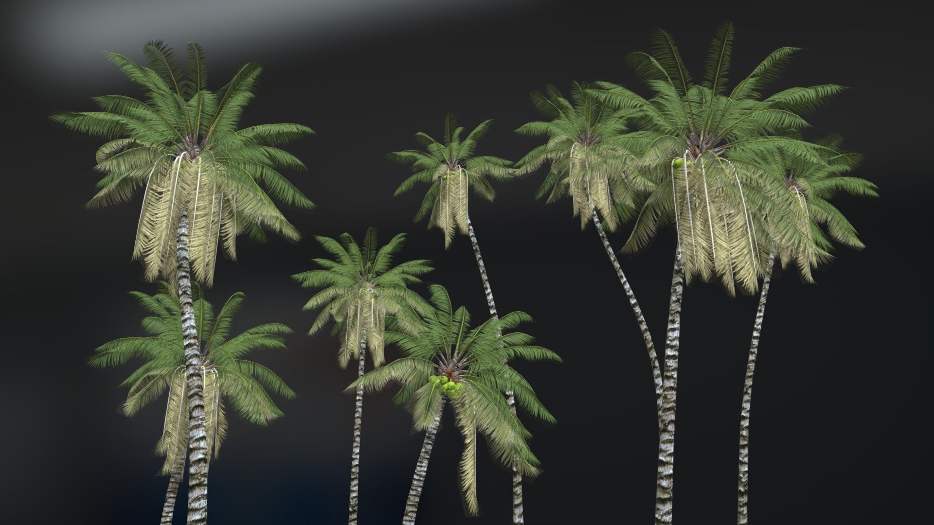 THIS PRODUCT CONTAINS MANY ANIMATED COCONUT TREES. IT MAY BE IDEAL FOR YOUR BEACH SCENES IN YOUR GAMES. HAVE A GOOD TIME!