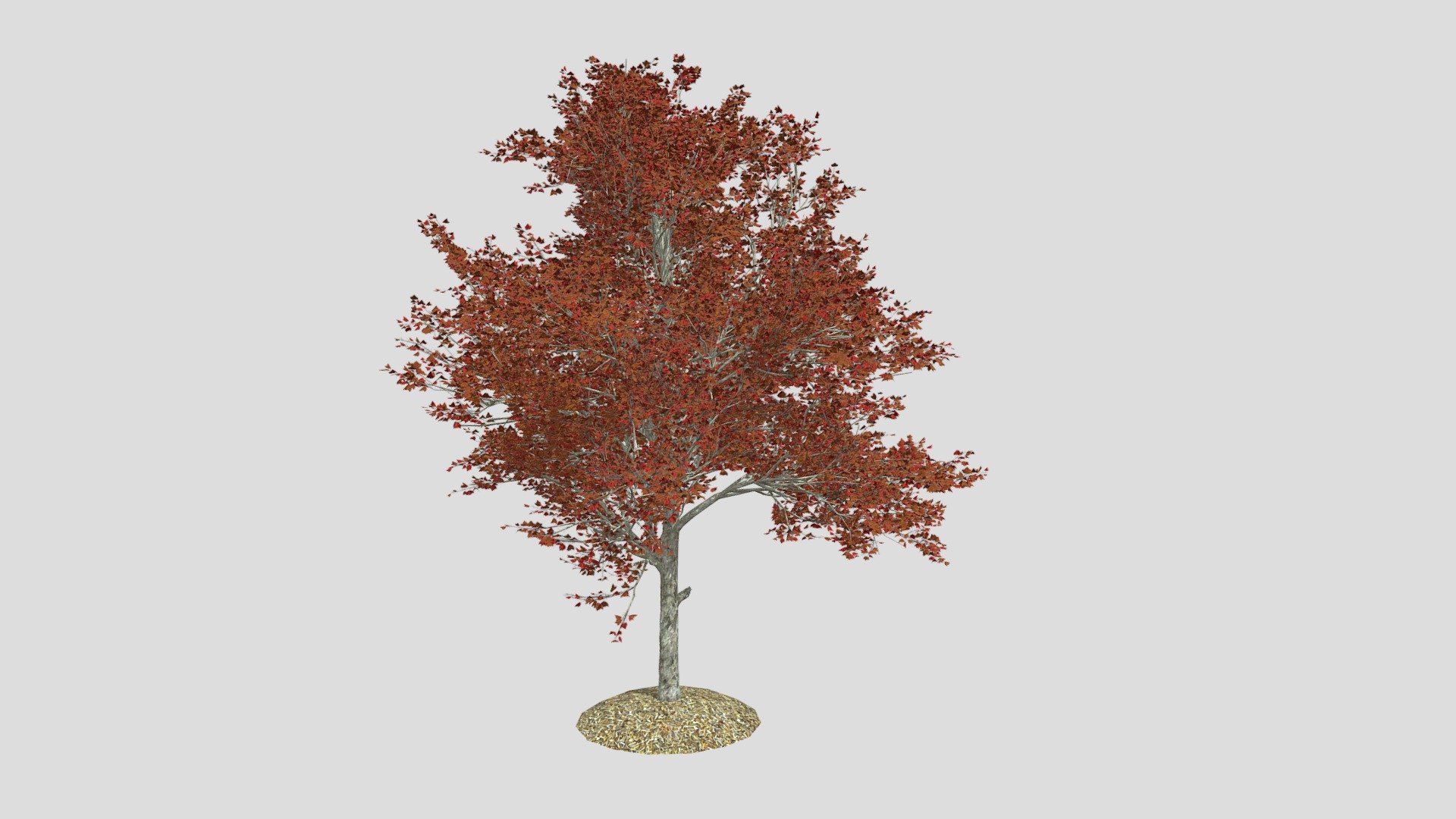 Features:




Vray &amp; Corona Render Engine Ready

OBJ &amp; Max Format

3DS Max 2015

Optimized

Clean Topology

Up to 99% Quad

Unwrapped Overlapping

Real-World Scale

Transformed into zero

Grouped

Objects Named

Materials Named

Up to 4K Textures map
