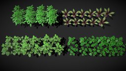 Game-Ready Low Poly Vegetable Garden Pack plant, plants, augmentedreality, ground, farmhouse, turnip, virtualreality, farm, farmer, realistic, tomato, farming, greenery, game, art, lowpoly, house, enverionment, moong, pees, noai