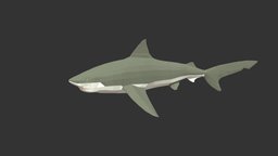 Bull Shark fish, fishing, river, underwater, animals, lake, ocean, aquarium, aquatic, sealife, bull-shark, oceanlife, fish-cartoon, low-poly, animal, animated, simple, sea