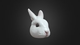 Jacob Ng's rabbit model rabbit, custom-made, noai