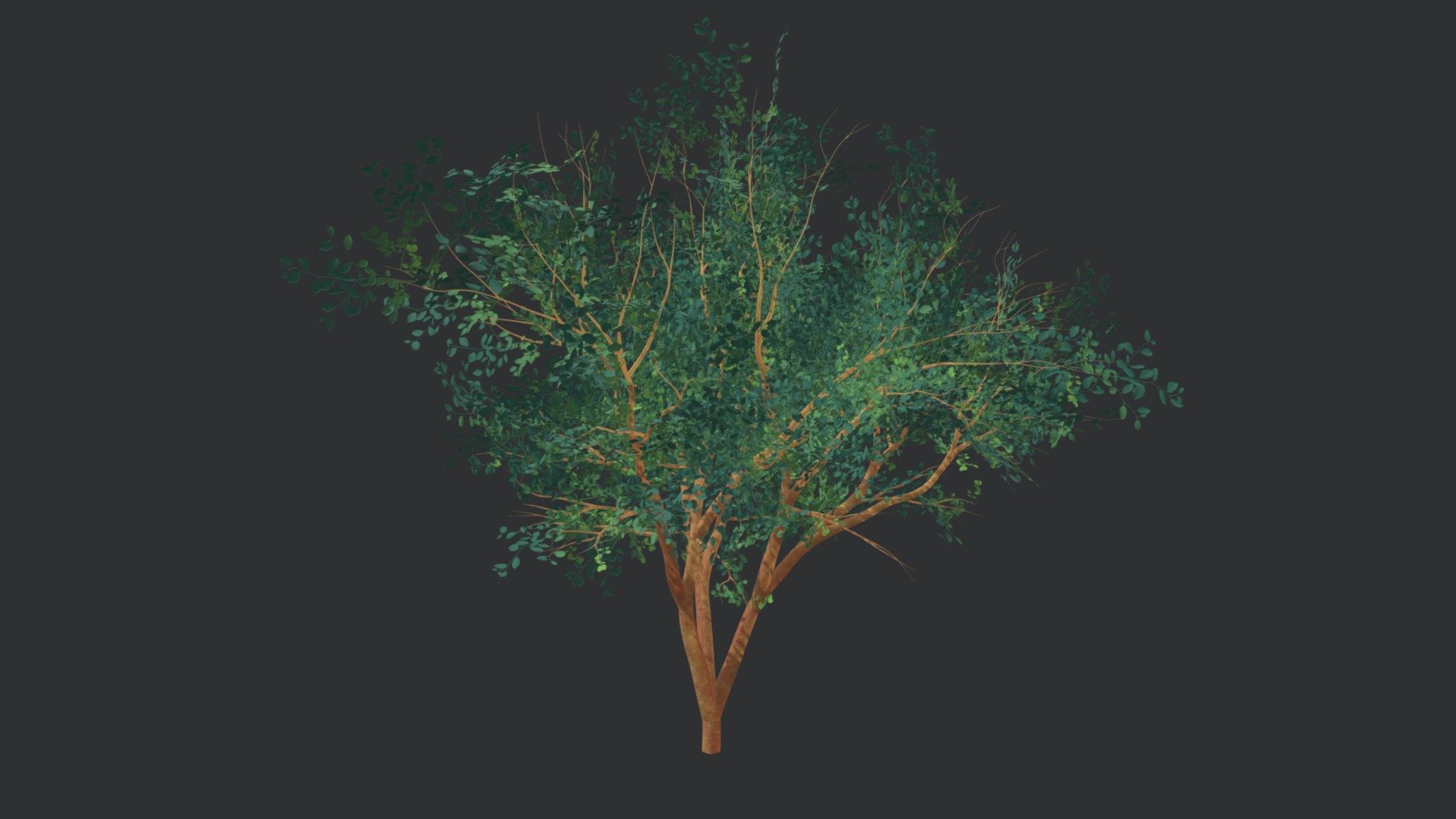 A tree with green leaves.