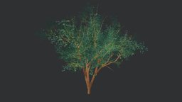 Green-leaved Tree tree, green, plant, nature, substancepainter, substance, asset, game