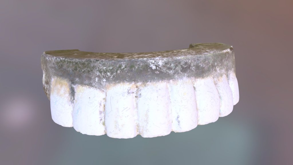 While George Washington did have dental troubles for much of his life, the story that his false teeth were made of wood is false. George Washington had dentures made of many materials, including human teeth. In the 18th century, it was common practice for dentists to purchase teeth from poor people for use in dentures or tooth transplants. 1784, Washington purchased nine teeth from several “Negroes,” for 122 shillings, which is less than a third of the payment advertised to poor white Americans. They were likely enslaved people living at Mount Vernon.  

3D scanned with a NextEngine Desktop 3D scanner in the archaeology laboratory at George Washington’s Mount Vernon. Description by Virginia Commonwealth University student Jessica Evans. Digital model provided by the Virtual Curation Laboratory courtesy of the Mount Vernon Ladies Association.