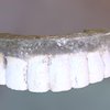 GW's False Teeth, Top Half (VCU_3D_2133) teeth, slavery, african-american, slavery-project, george-washington, dentures, archaeology, noai