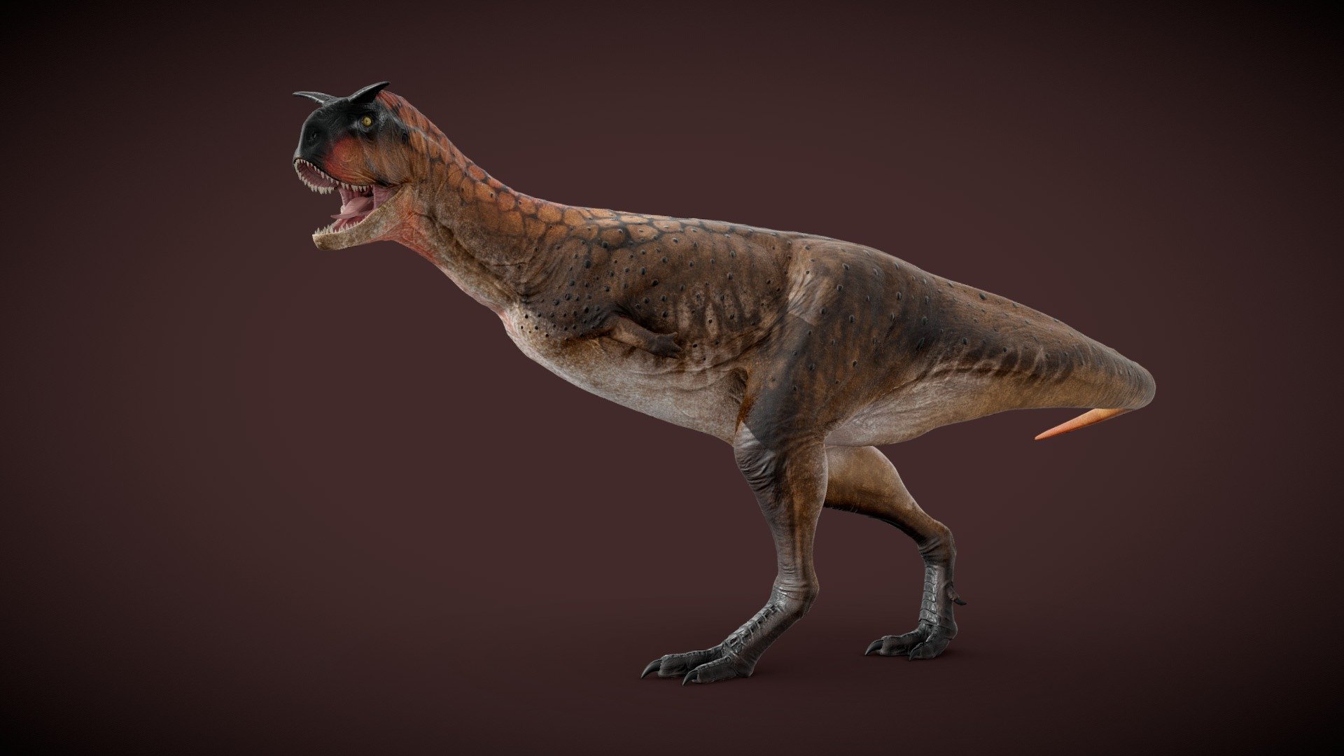Carno model sculpted in Blender and textured in Substance Painter

.Blend file
2k Textures: DIffuse, Normal, Roughness
Basic rig