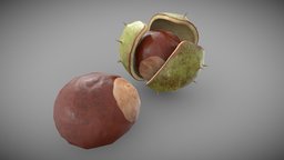 My 3dsmax Chestnut 3d model tree, green, plant, fruit, handmade, brown, nut, leaf, nature, fall, autumn, chestnut, season, harvest, kernel, substance, 3d, 3dsmax, model, decoration, sketchfab, download