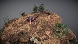 Giant Ant Scene scene, insect, ant, plants, desert, morrowind, game, lowpoly, creature, animal, monster, fantasy