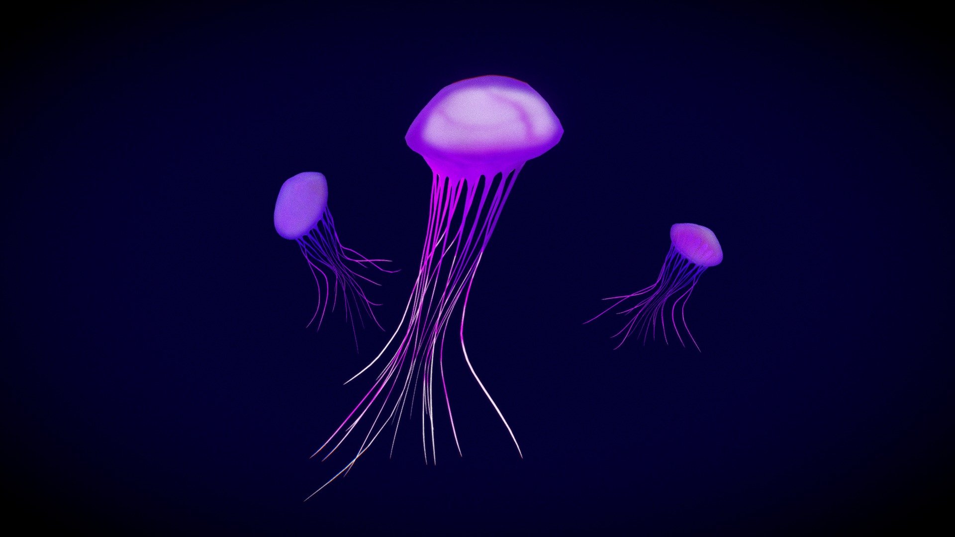 A Group of Several Jellyfish.