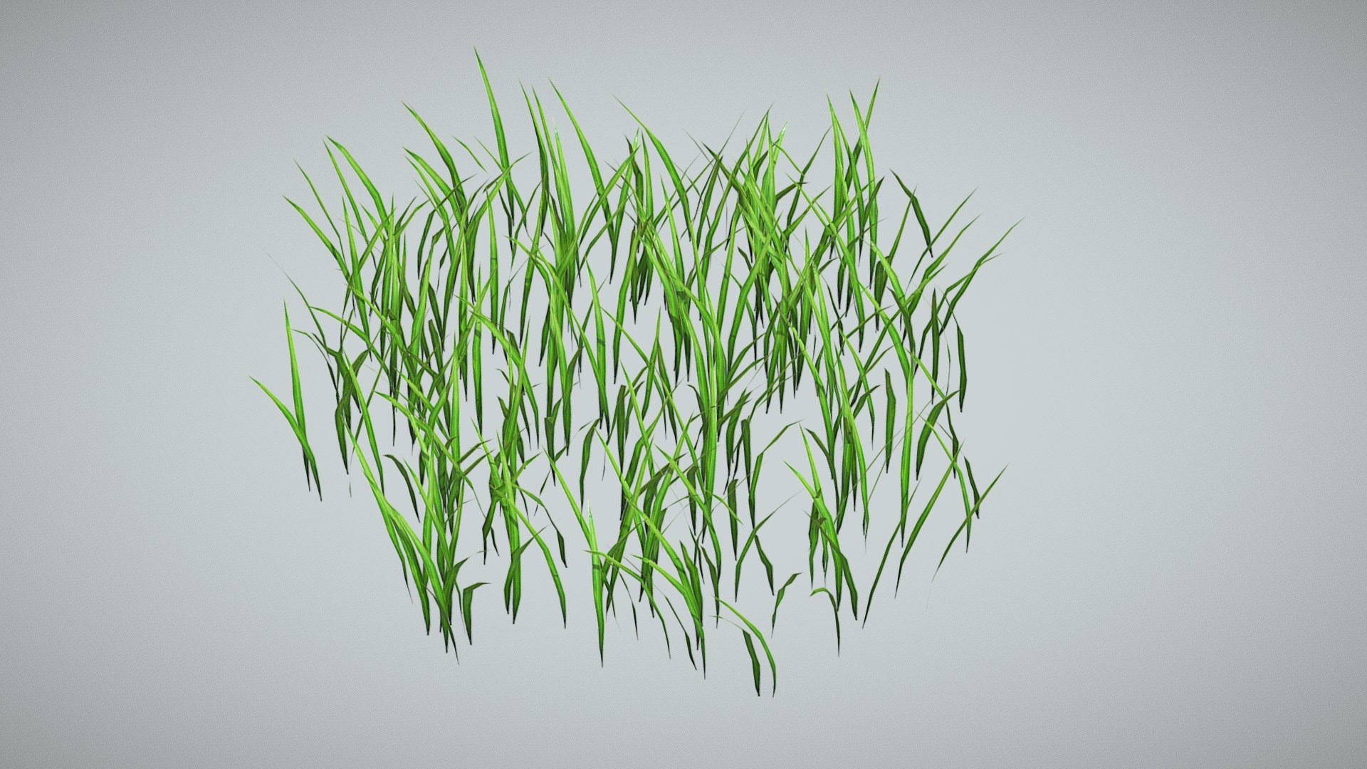 Low poly asset perfectly optimized and mapped to represent a higher polygon density. You can use it in VR, smartphone games, or environments where few polygons are needed. Intended for use in graphics engines such as Unity and Unreal Engine, with the current configuration of PBR materials.

This prop belongs to an vegetation theme pack, if you need a specific prop let us know and we will add it for sale.

Developed by Outlier Spa.