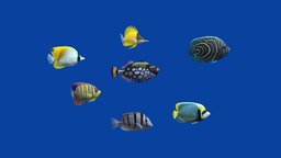 Tropical Fish 7 (Pack 2). Old version fish, tropical, river, underwater, coral, ocean, aquarium, bay, water, nature, jellyfish, ocean-creatures, tropical-fish, oceanlife, sea