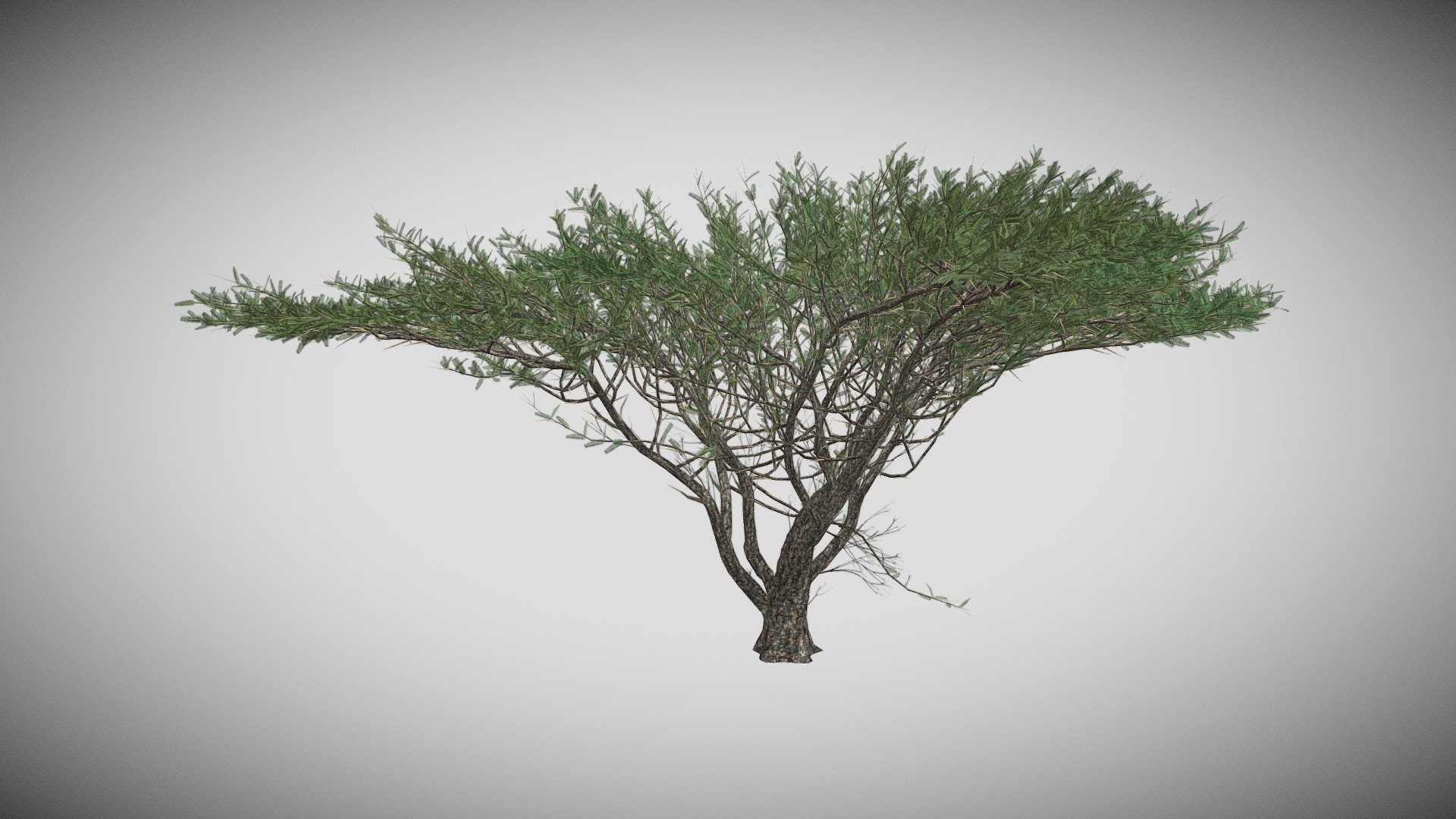 Features:




Vray &amp; Corona Render Engine Ready

OBJ &amp; Max Format

3DS Max 2015* Optimized

Clean Topology

Up to 99% Quad

Unwrapped Overlapping

Real-World Scale

Transformed into zero

Grouped

Objects Named

Materials Named

Up to 4K Textures map
