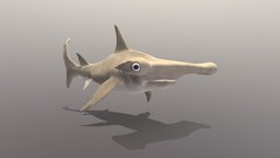 hammerhead shark shark, fish, hammer, killer, predator, ocean, water, head, sea