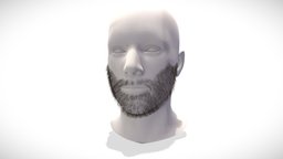 Facial Hair Short Beard face, hair, base, style, hombre, prop, fashion, unreal, beard, head, facial, bearded, unrealengine, hairy, haircut, short-hair, unity, unity3d, asset, man, male, facial-hair, short-beard