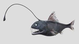 Angler Fish Blend shark, fish, viper, deepsea, ocean, deep, nemo, angler, anglerfish, viperfish, angler-fish, fangtooth, creature, monster, sea, viper-fish