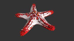 Starfish fish, fishing, river, underwater, animals, lake, ocean, starfish, sealife, aniamted, oceanlife, lakelife, riverlife, lowpoly, animal, sea, boat
