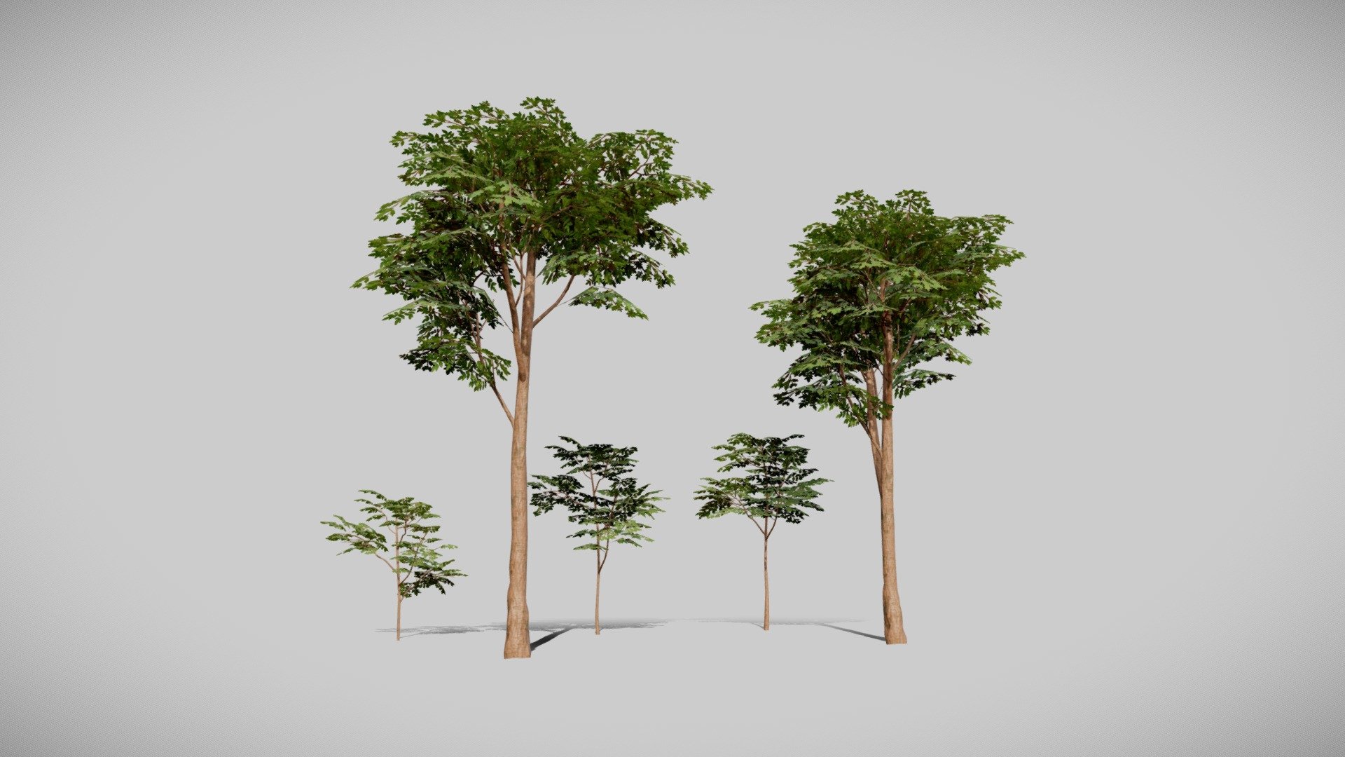 Details:

Low poly

5 Variations

Game Ready Asset

LODs + Billboards

Textures are 4K resolution (Albedo .tif with alpha channel)

Mask Map channels:

R: Metallic

G: AO

B: Thickness

A: Glossiness

Materials

-Bark

-Leaves

-Billboard

Video Tutorial Importing into Unity:
https://www.youtube.com/watch?v=wWX14sCytZ0&amp;feature=emb_logo