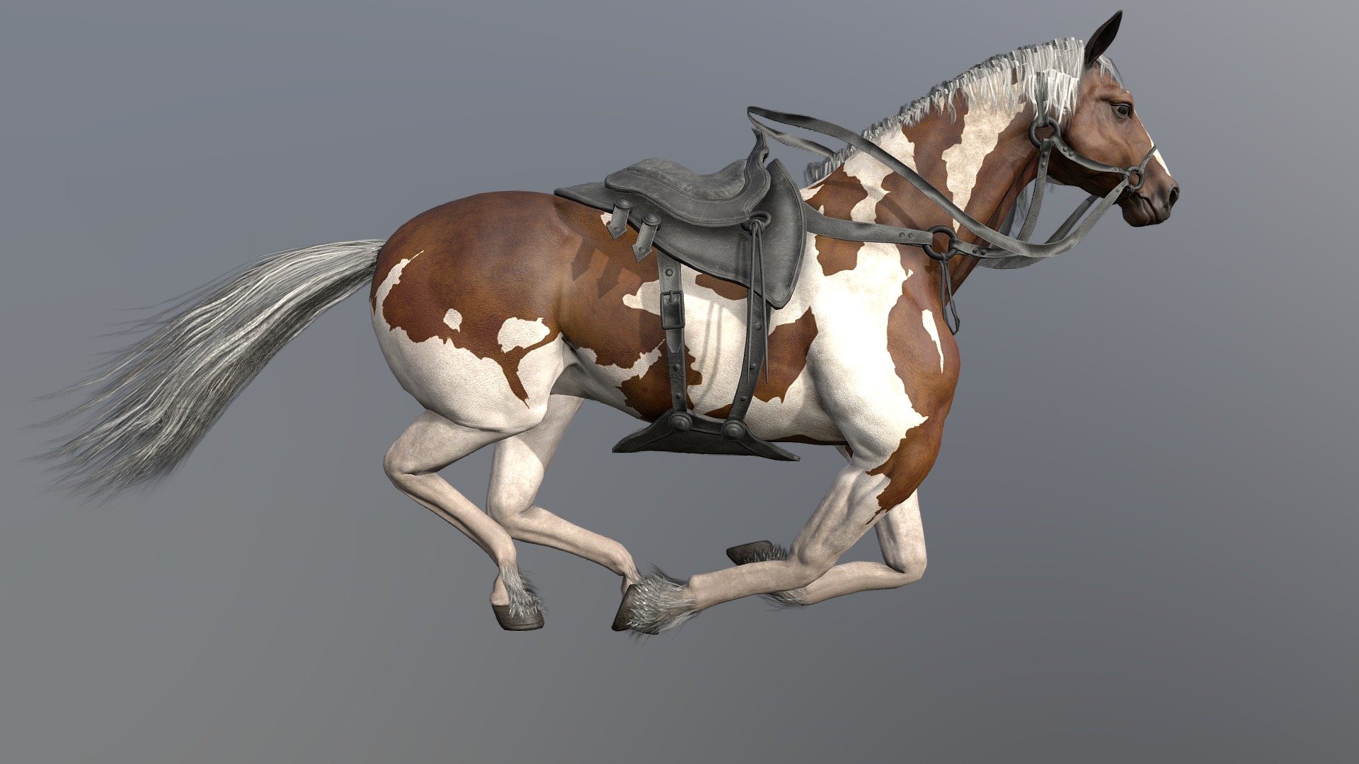 Horse Run cycle animated 3d model in fbx file format